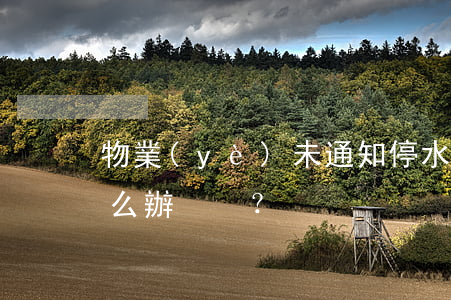 物業(yè)未通知停水停電造成的損失怎么辦？